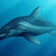 Artist’s impression of an ichthyosaur.